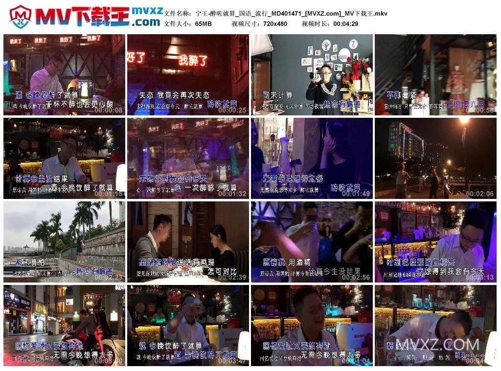 宁王-醉咗就算_国语_流行_MD401471